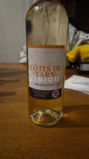 Sydväst Côtes du Tarn Côte Du Tarn Icke årgångsbetecknad