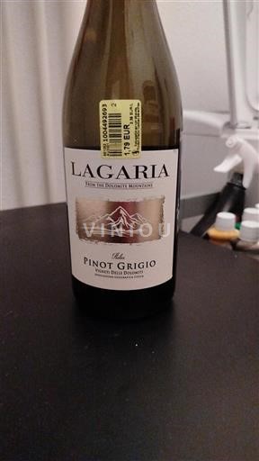 Véneto Vigneti delle Dolomiti Lagaria Pinot Grigio Sin añada