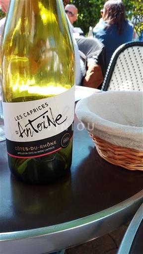 Valle del Ródano Côtes del Ródano Les Caprices Antoine 2023