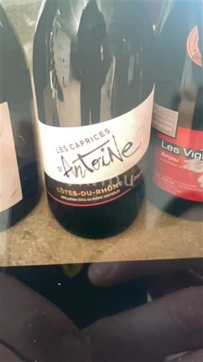Rhônedalen Côtes du Rhône Les Caprices Antoine 2023