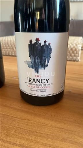 Borgoña Irancy Les Pinots Blacks Vallée de Coigny 2022