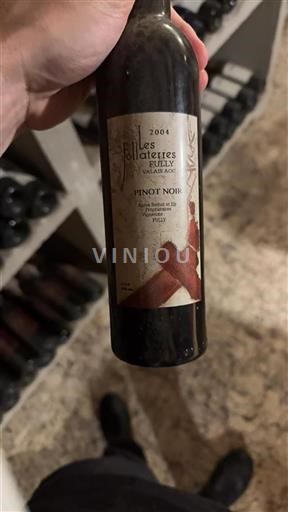 Wallis Wallis AOC Les Follaterres 2004