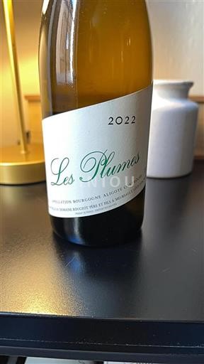 Burgundsko Bourgogne-aligoté Domaine Rougeot Père Et Fils Les Plumes 2022
