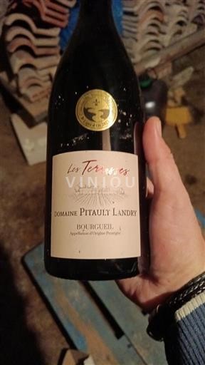 Vallée de la Loire Bourgueil Domaine Pitault Landry Les Terrasses 2022