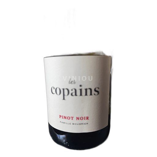 Vin Rouge sec Les copains Famille Bougrier 2024 France Vallée de la Loire Vin de France
