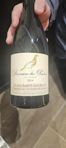 Bourgogne Nuits-Saint-Georges Premier Cru Domaine Des Perdrix Les Terres Blanches 2014
