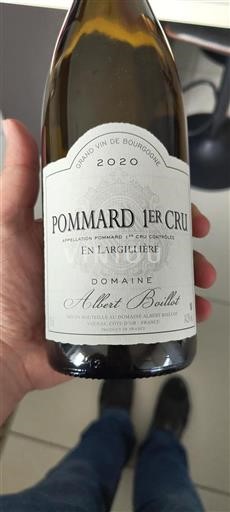 Burgundy Unspecified Premier Cru Domaine Albert Boillot En Largillière 2020