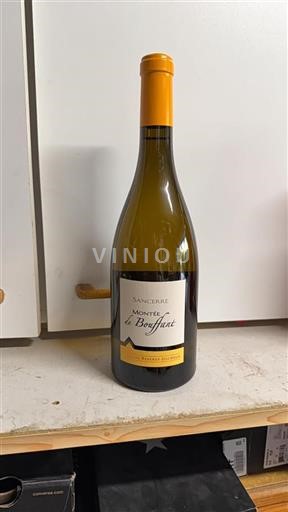 Vallée de la Loire Sancerre Aine Reverdyducroux Montée de Bouffant 2023