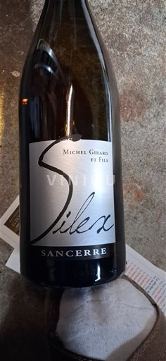 Valle della Loira Sancerre Domaine Michel Girard Et Fils Silex 2021