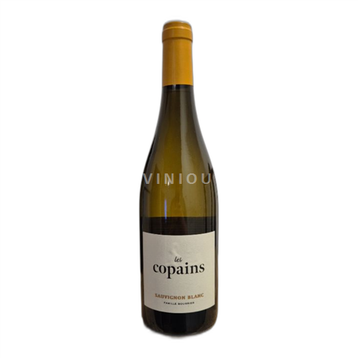 Vin Blanc sec Famille Bougrier 2024 France Vallée de la Loire Vin de France