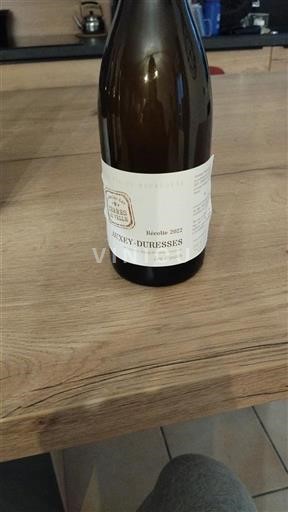 Burgundija Auxey-Duresses Domaine Des Terres De Velle Les Hautés 2022