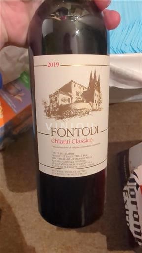Toscana Chianti Classico Fontodi 2019