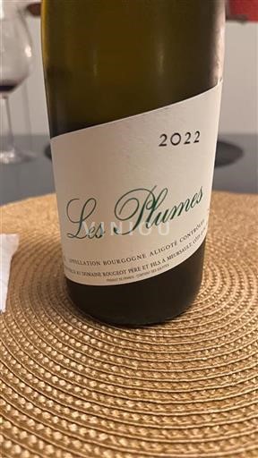 Burgundsko Bourgogne-aligoté Domaine Rougeot Père Et Fils Les Plumes 2022