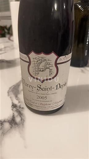 Burgundija Morey-Saint-Denis Grand Cru Jeanpaul Et Stéphane Magnien 2005