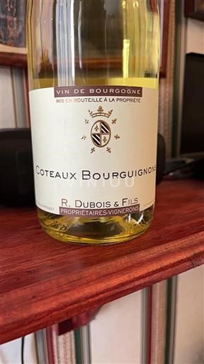 Burgundsko Burgundské vinice R. Dubois & Fils 2019