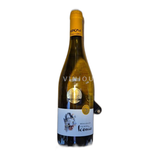 Vin Blanc sec Vignerons des Pierres Dorées 2019 France Beaujolais AOC