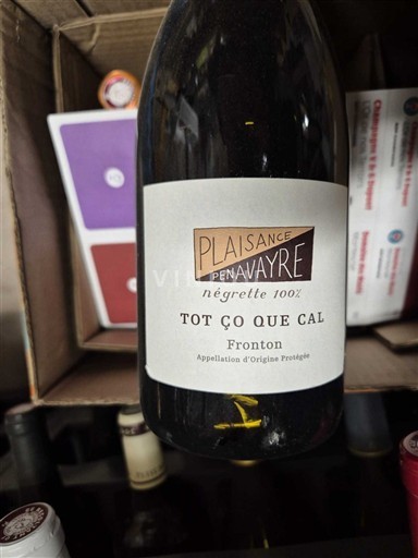 Tây Nam Fronton Plaisance Penavayre Tot Ço Que Cal 2022