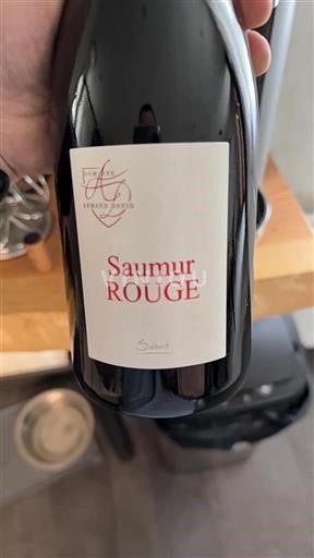 Loire Valley Saumur Domaine Armand David Sainte 2022