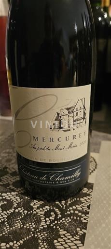 Vin Rouge sec Au pied du Mont Morin Château Chamirey 2020 France Bourgogne Mercurey AOC
