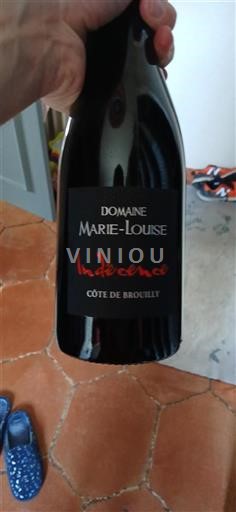 Beaujolais Côte-de-brouilly Domaine Marielouise Indécence 2020