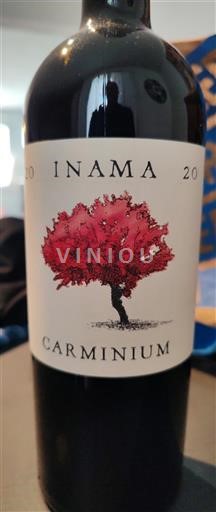 Véneto No especificado Inama Carminium 2020