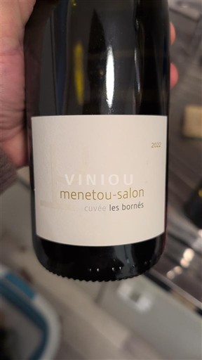 Loire-dalen Menetou-Salon Les Bornés 2022