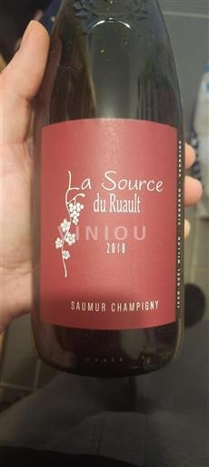 Loiretal Saumur-Champigny La Source Du Ruault 2018