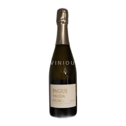 Loire-dalen Vouvray Domaine Vodanis Pagus Vaudanum 2018