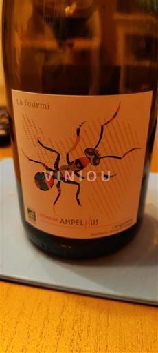 Languedoc Không được chỉ định Ampelhus La fourmi Không niên vụ