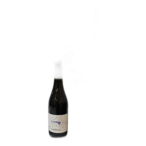 Vin Rouge sec Somdinou Cooperativa De Gandesa 2021 Espagne Catalogne Terra Alta DO