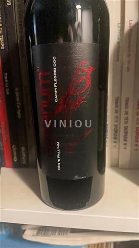 Campania Wines Campi Flegrei Pér E Palumm Non-Vintage