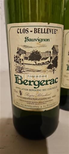 Sydväst Bergerac Clos Bellevue Sauvignon 2006