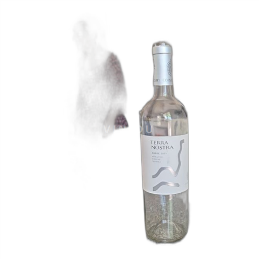 Vin Blanc demi-sec Terra Nostra 2023 France Corse AOC