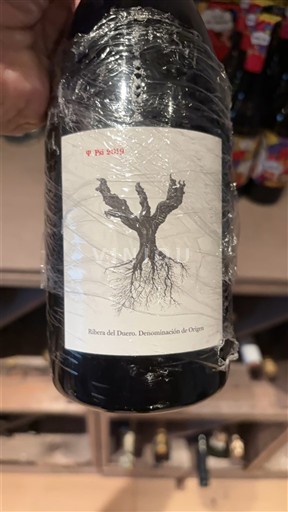 Castela e Leão Ribera del Duero Psi 2019