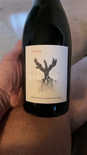 Castela e Leão Ribera del Duero Psi 2019