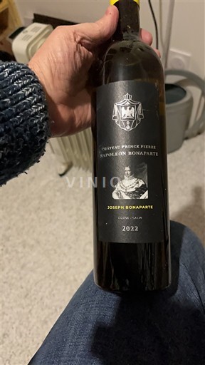 Corsica Calvi Château Prince Pierre Napoléon Bonaparte Joseph Bonaparte 2022