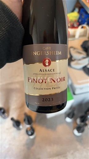 Alsacia Cave Ingersheim Collection Privée 2023