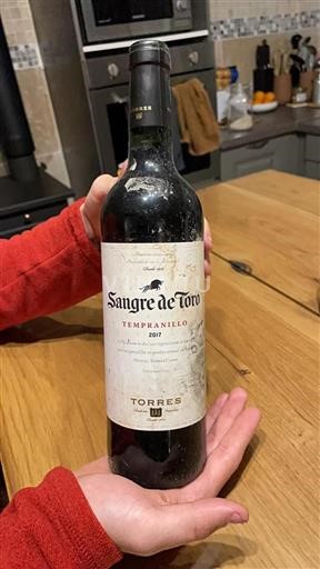 Cataluña Torres Sangre de Toro 2017