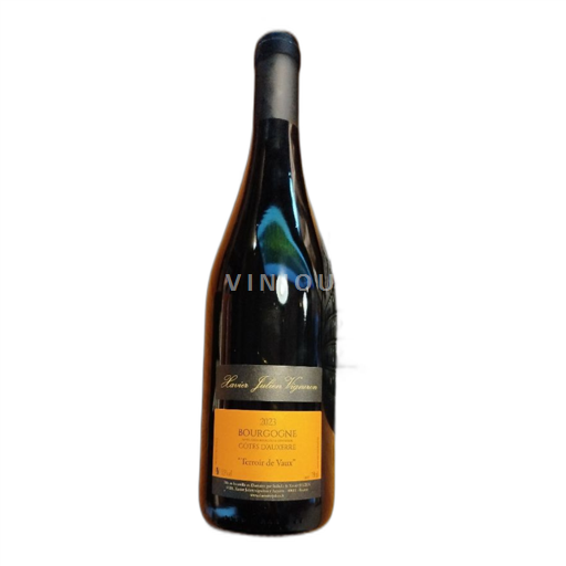 Burgundy Burgundy Côtes d'Auxerre Xavier Jullien Terroir de Vaux 2023