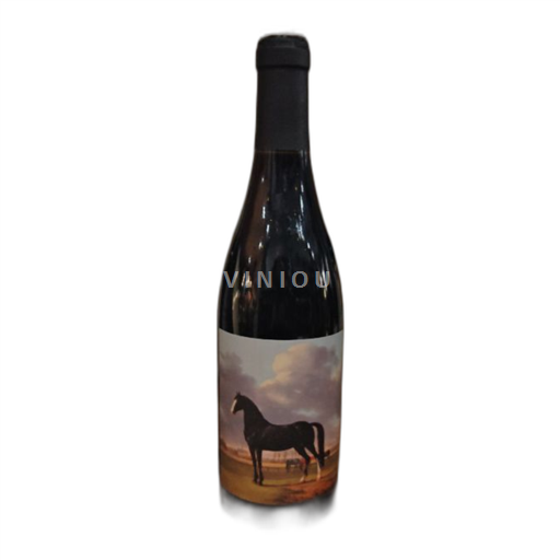 Cộng đồng Valencia Utiel-Requena Allblack 2019