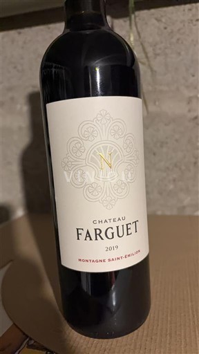 Bordeaux Montagne-saint-émilion Château Farguet 2019