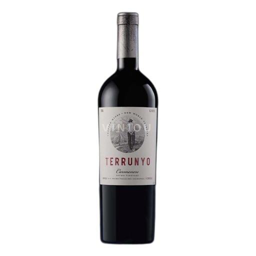 Rapelin laakso Cachapoal Valley Terrunyo, Peumo Vineyard 2018