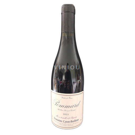 Bourgogne Pommard Domaine Cyrot Buthiau 2021