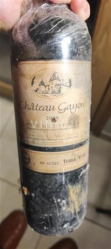 Bordéus Bordeaux Superior Château Gayon 2008