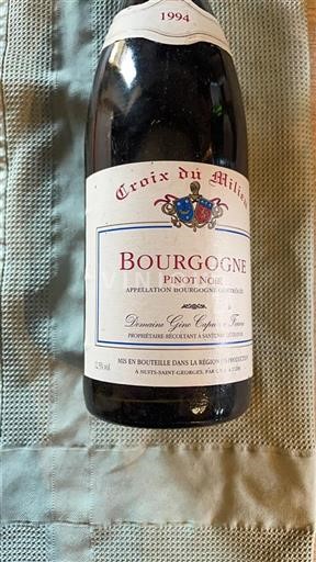 Bourgogne Domaine Gino Capuano Ferreri Croix du Milieu 1994