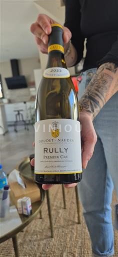 Bourgogne Rully Premier Cru Doudetnaudin 2022