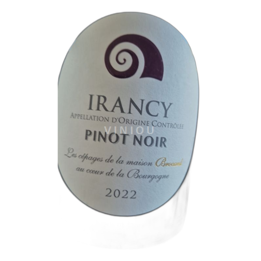 Vin Rouge sec Jean Marc Brocard 2022 France Bourgogne Irancy AOC