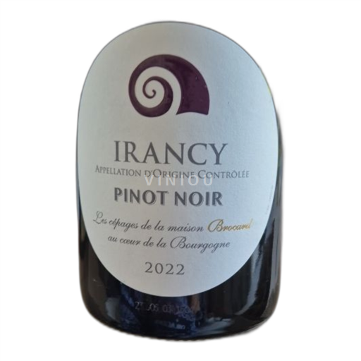 Burgundy Irancy Domaine Jeanmarc Brocard 2022