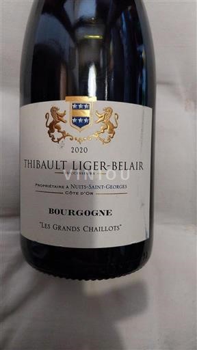 Burgundy Unspecified Domaine Thibault Ligerbelair Les Grands Chaillots 2020