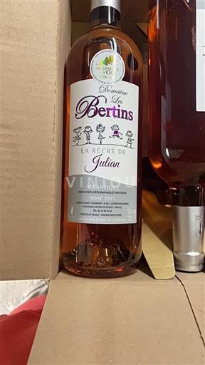 Aquitania e Charente Atlantico Domaine Les Bertins La Récré de Julian 2023